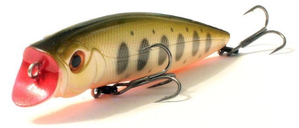 NO.509 Pearl Yamame Orange Belly